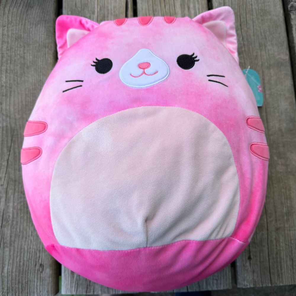 Squishmallows Claudella Pink Cat Plush S14 #1218-2 Tie Dye Stuffed Animal Toy